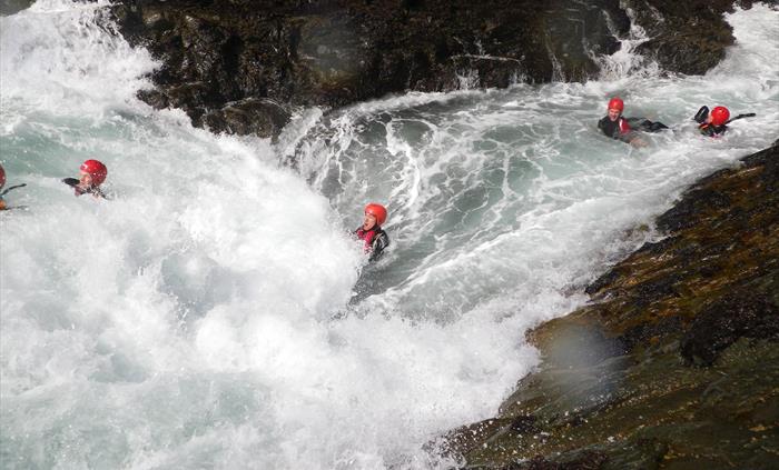 Toilet Flushing Coasteering